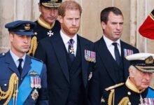 Prince Harry Gets Fresh Hope As Expert Revives ‘Half-In, Half-Out’ Royal Plan