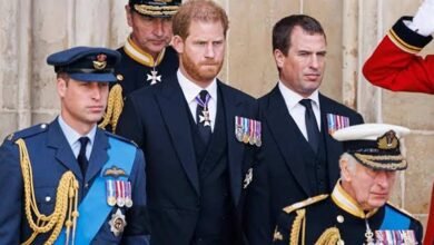 Prince Harry Gets Fresh Hope As Expert Revives ‘Half-In, Half-Out’ Royal Plan