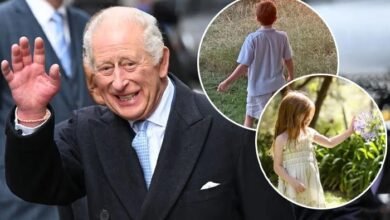 Prince Archie And Princess Lilibet Brighten King Charles Day With Heartwarming Gesture