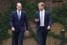 Prince William And Prince Harry’s Rift Deepens As Brothers Go Separate Ways During UK Visit