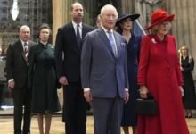 King Charles Office Issues Major Princess Anne Update After Reported Princess William Advice