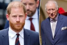 Prince Harry Plans Next Family Meeting With King Charles At Birmingham Invictus Games