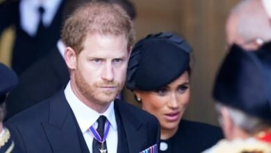 Prince Harry Takes Precautions To Protect Reconciliation Hopes With King Charles
