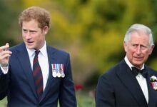 Prince Harry And King Charles Take Tentative Step Toward Healing Family Rift