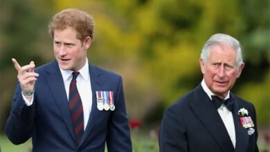 Prince Harry And King Charles Take Tentative Step Toward Healing Family Rift