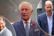 King Charles And Prince William Hold Urgent Talks Before Prince Harry Arrives In UK