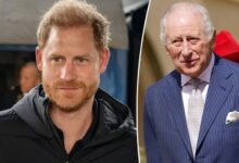 Prince Harry Makes Bold Decision After Encouraging Nod From King Charles