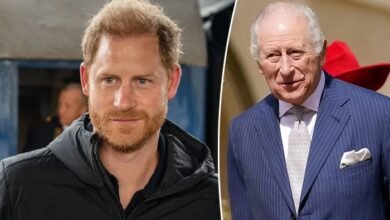 Prince Harry Makes Bold Decision After Encouraging Nod From King Charles