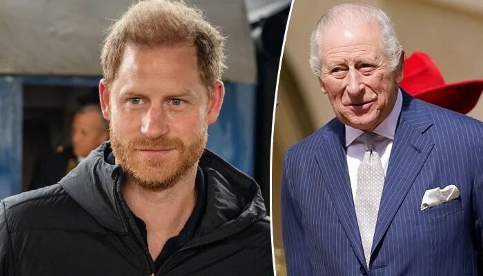Prince Harry Makes Bold Decision After Encouraging Nod From King Charles