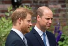 Prince Harry Suffers Dramatic Popularity Reversal As Public Opinion Takes Fresh Turn