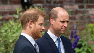 Prince Harry Suffers Dramatic Popularity Reversal As Public Opinion Takes Fresh Turn