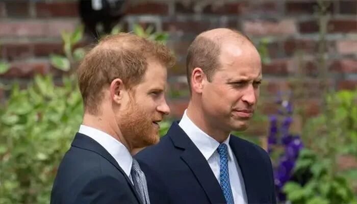 Prince Harry Suffers Dramatic Popularity Reversal As Public Opinion Takes Fresh Turn
