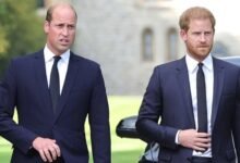 Prince William Faces Fresh Pressure As Prince Harry Steps Up Reconciliation Efforts