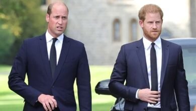 Prince William Faces Fresh Pressure As Prince Harry Steps Up Reconciliation Efforts