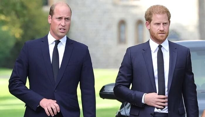 Prince William Faces Fresh Pressure As Prince Harry Steps Up Reconciliation Efforts