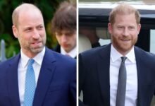 Prince William And Prince Harry’s Plans For Diana’s 30th Anniversary Revealed