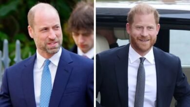 Prince William And Prince Harry’s Plans For Diana’s 30th Anniversary Revealed