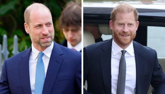 Prince William And Prince Harry’s Plans For Diana’s 30th Anniversary Revealed