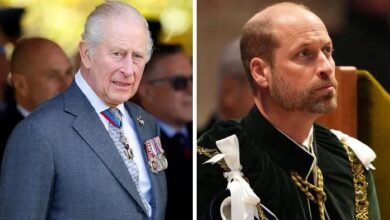 King Charles Blocks Prince William From Crucial Talks As Harry Reconciliation Moves Forward