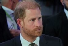 Meghan Markle Warns Prince Harry Against Throwing Himself At Prince William’s Feet