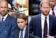 Palace Insider Reveals Truth About Prince Harry’s Apology And Prince William’s Reaction