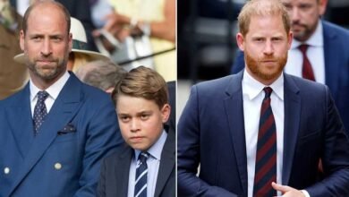 Palace Insider Reveals Truth About Prince Harry’s Apology And Prince William’s Reaction