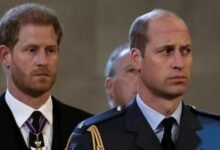 Prince Harry Could Win Back King Charles But Prince William’s Trust Remains A Major Hurdle