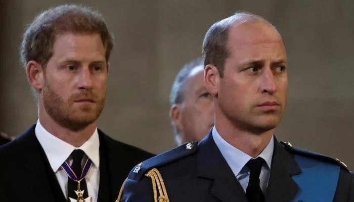 Prince Harry Could Win Back King Charles But Prince William’s Trust Remains A Major Hurdle