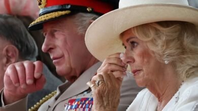 Queen Camilla’s Private Fears About King Charles Emerges Amid Harry and Meghan’s UK Return