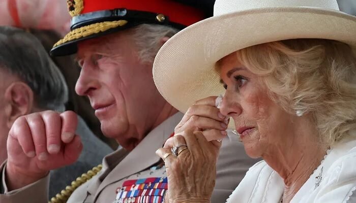 Queen Camilla’s Private Fears About King Charles Emerges Amid Harry and Meghan’s UK Return