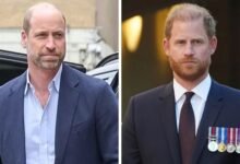 Prince William And Prince Harry Reconciliation Faces Intense Scrutiny As They Face Renewed Questions
