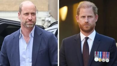 Prince William And Prince Harry Reconciliation Faces Intense Scrutiny As They Face Renewed Questions