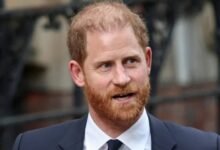 Prince Harry Steps Back From Key Position After Reported Balmoral Royal Summit