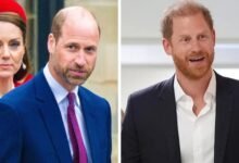 Prince William May Face New Challenge as Prince Harry’s UK Return Changes Royal Family Dynamics