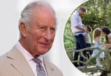 King Charles Sends First Message After Harry and Meghan’s Surprising UK Announcement