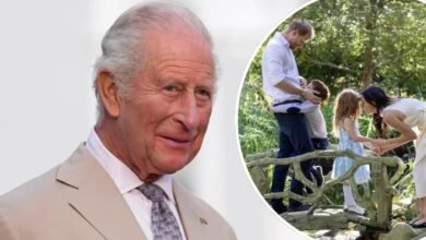 King Charles Sends First Message After Harry and Meghan’s Surprising UK Announcement
