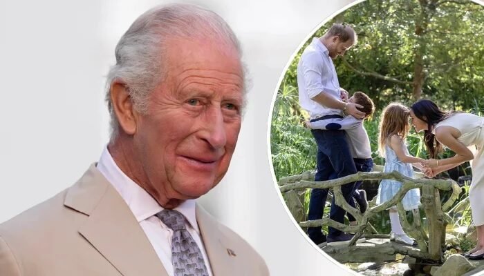 King Charles Sends First Message After Harry and Meghan’s Surprising UK Announcement
