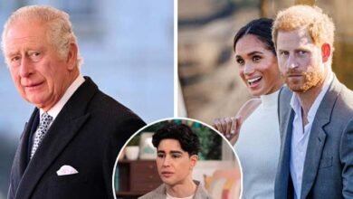 Omid Scobie Drops First Update as He Returns With Prince Harry and Meghan Markle