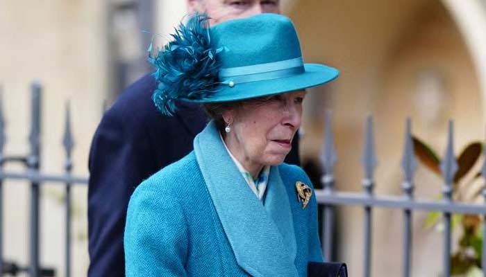 Princess Anne Viewed As Prince Harry And Meghan Markle’s Biggest Ally In Royal Family Reconciliation