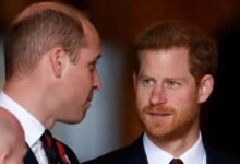 Prince Harry Could Reunite With Prince William As Friend Shares Long Awaited Update On Royal Brothers