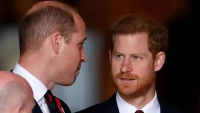 Prince Harry Could Reunite With Prince William As Friend Shares Long Awaited Update On Royal Brothers