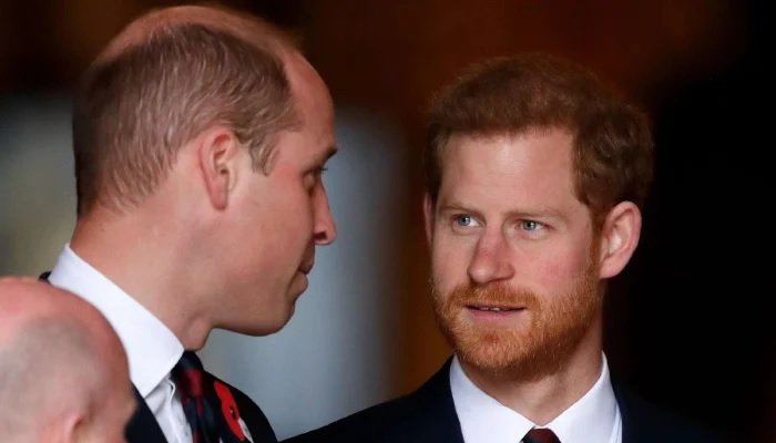 Prince Harry Could Reunite With Prince William As Friend Shares Long Awaited Update On Royal Brothers