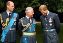 King Charles Has Emotional Message for Prince William and Prince Harry as Brothers Feud Continues
