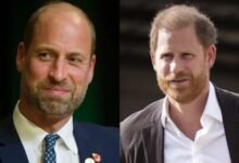 Prince Harry’s Royal Return Sparks Public Reaction as Britons Urge Prince William Reconciliation