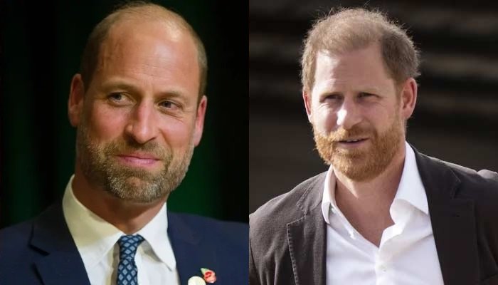 Prince Harry’s Royal Return Sparks Public Reaction as Britons Urge Prince William Reconciliation