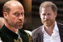 King Charles Continues Push To Reunite Prince William And Prince Harry