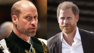 King Charles Continues Push To Reunite Prince William And Prince Harry
