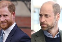 Prince Harry Sends Fresh Signal As He Continues Efforts To Rebuild Bond With Prince William