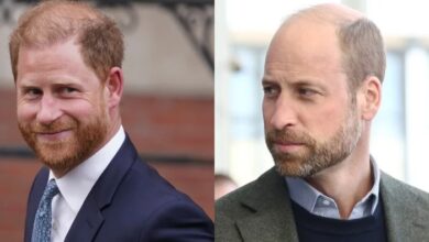 Prince Harry Sends Fresh Signal As He Continues Efforts To Rebuild Bond With Prince William