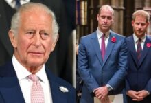 King Charles Team Reportedly Urges Prince William To Consider Meeting Prince Harry